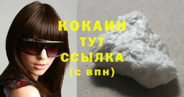 сатива Абинск