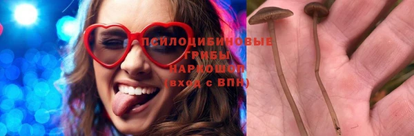дмт Алзамай