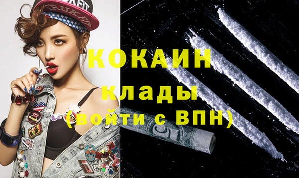дмт Алзамай