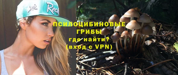 дмт Алзамай