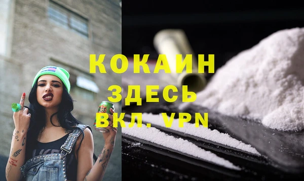 дживик Абаза